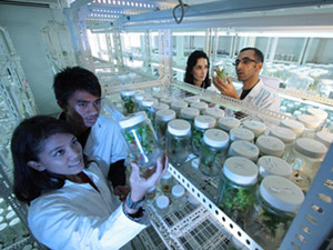 快速故障转移的网站攻击源码